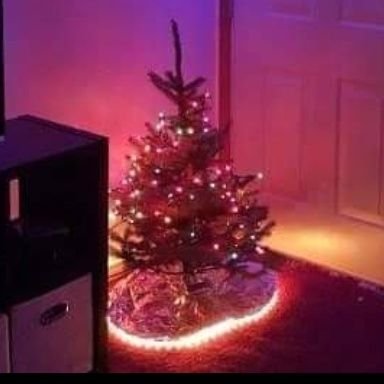 Nibir1316582's profile picture. 