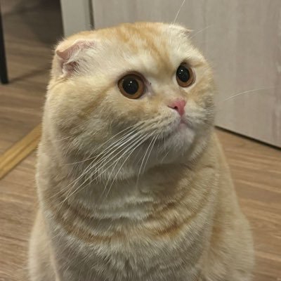 poohyiii's profile picture. #srchafreen #maywyda #fay_riezz #SWSHGL #รักปากแข็ง #FayMayNeen