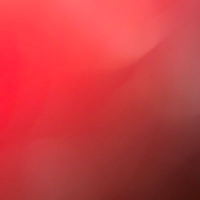 seleneefox's profile picture. 