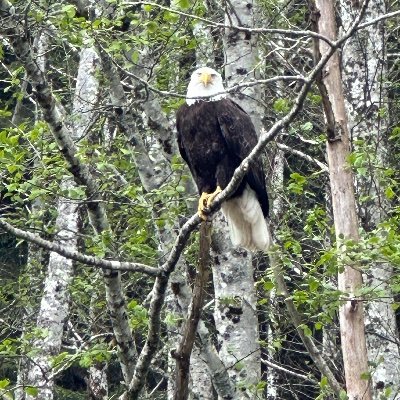 Malta623949's profile picture. 