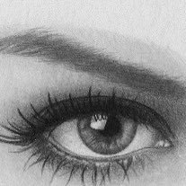 BCNY212's profile picture. BCNYC on Bluesky B.C.N.Y. on Tribel. Use profanity w me it’s an automatic block. Not obligated to entertain ur ignorance, Likes/reposts not always endorsements.