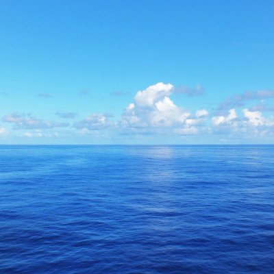 jianchengdu's profile picture. 