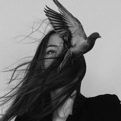 Spxrrow07's profile picture. 