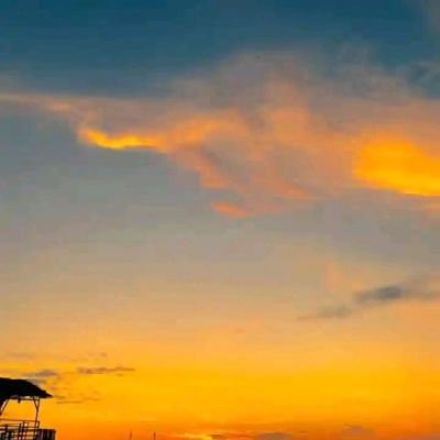 Maryjan75445396's profile picture. 