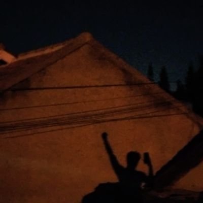 callmepollo_'s profile picture. I show feelings through actions