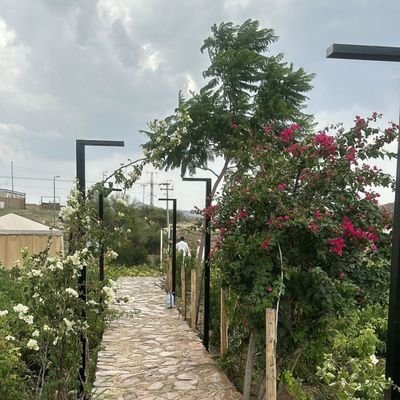 XDolllar's profile picture. 