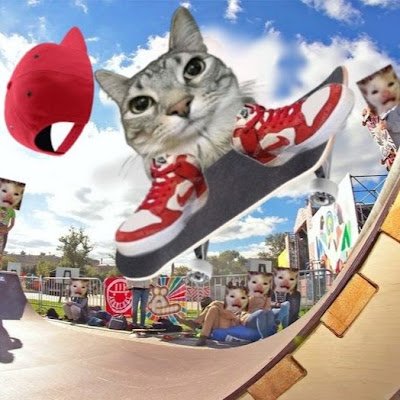 JooCarlos848742's profile picture. 