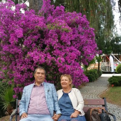 aylancekrem's profile picture. •mülkiye/SBF 80
•(E)MİA

⛔DM YOK⛔GRUP YOK