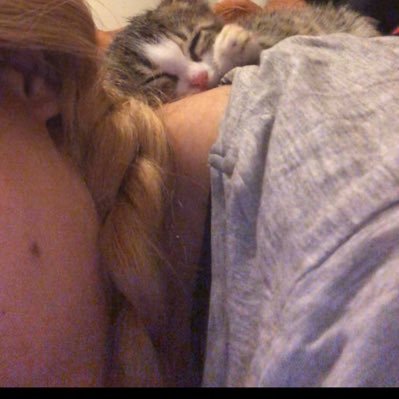 changooli1's profile picture. یک عدد پزشک خسته /صاحب سبک در الگوی زندگی در رویا/به دیدگاه یک کوالای مرده