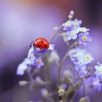 wave_robot33234's profile picture. 🖋️ Hayallerin peşinden git 🖤