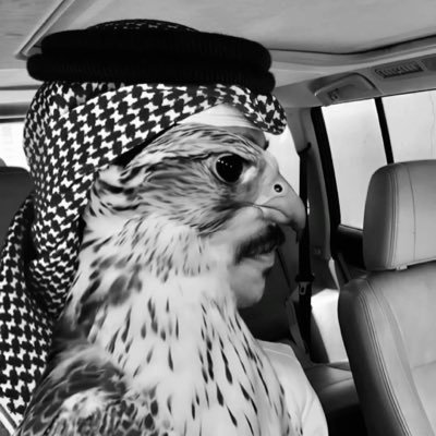 xi777ix's profile picture. 