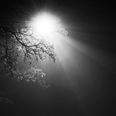 sadala_tatata's profile picture. Science Pô….🪶 @Ensemble_MK