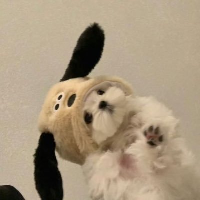 lessxsleep's profile picture. สลิ่มเติ้ลเฟิร์สวัน ♡