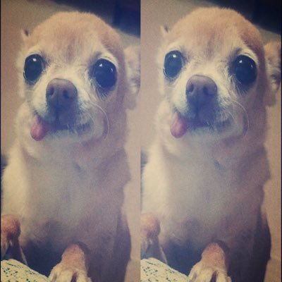 emi_lee25's profile picture. 🫧 rblx designer coms open *:･ﾟ✧*:･ﾟ✧ discord: emi_lee.25