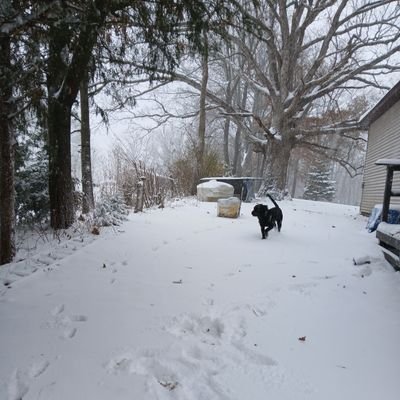 myquietcorner77's profile picture. A follower of Jesus Christ,  US Marine Corps Veteran...