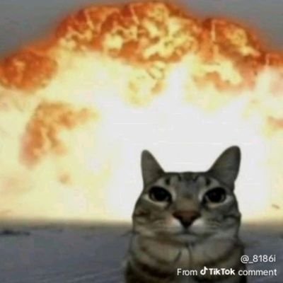 SolomziJen's profile picture. UJ Alumni                                                                            Yeah, neh 😪