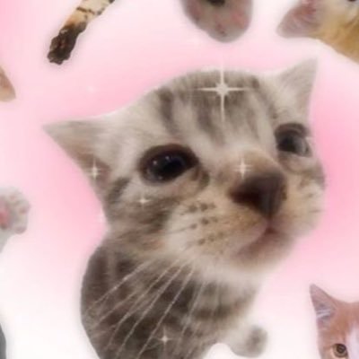 machiimane's profile picture. 