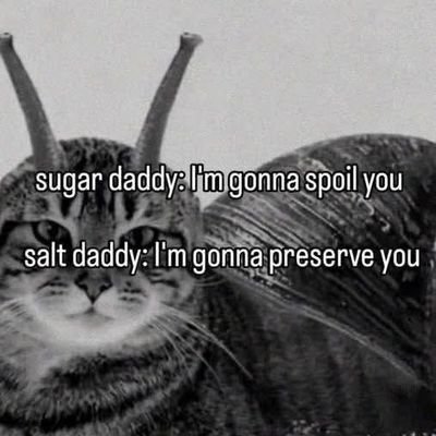 MichelleNo62053's profile picture. 