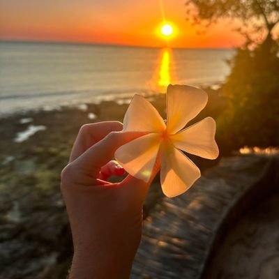 Jamesbond342261's profile picture. 