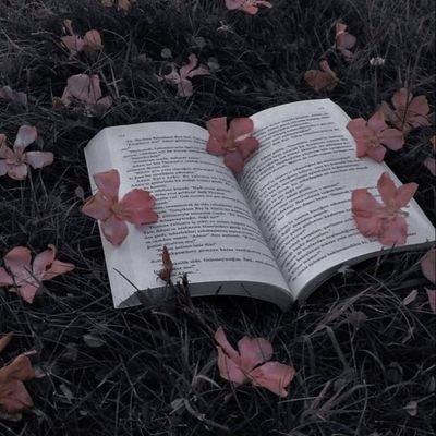 ocoether's profile picture. há constelações teimosas morando na minha calma — e nenhuma delas dorme.