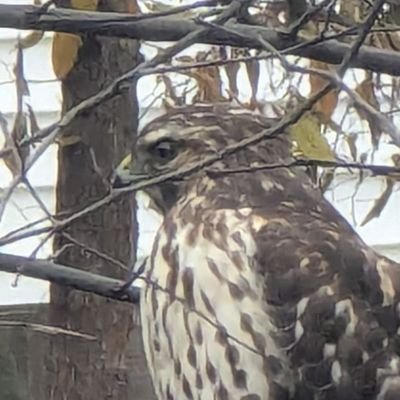 thewhenson's profile picture. 