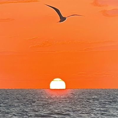 SPSSM's profile picture. Live & Let Live