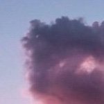 OPendleton94163's profile picture. .