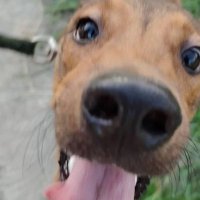 Alexis KD (@alexkd96587530) 's Twitter Profile