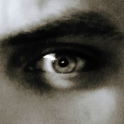 FolkvardGrenske's profile picture. Folkist. Katolikk. Bogeskyttar og treskjerar.