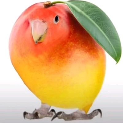 greatestdudevee's profile picture. 💙he/him💙~❤age:25❤~
🔞minor do not interact or get BLOCKED. only 18+ age are allowed here🔞 //not that active\\~(radon overlord fan #1)