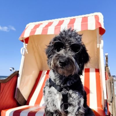 contangomi's profile picture. Derivatives, former floor trader 🇪🇺🇺🇸  comparison: EU vs USA in B2C Derivatives 🇪🇺🚨