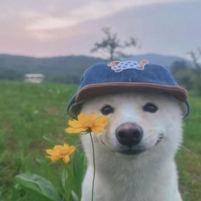 cjpanthress's profile picture. i be doing what I want 🕺