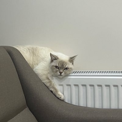 benCBu's profile picture. 