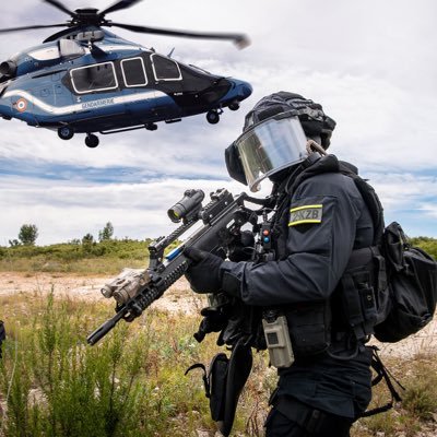 sylvainda75's profile picture. Pour La Patrie L’Honneur et Le Droit 🇫🇷 #ProtectionAnimale @RNational_off