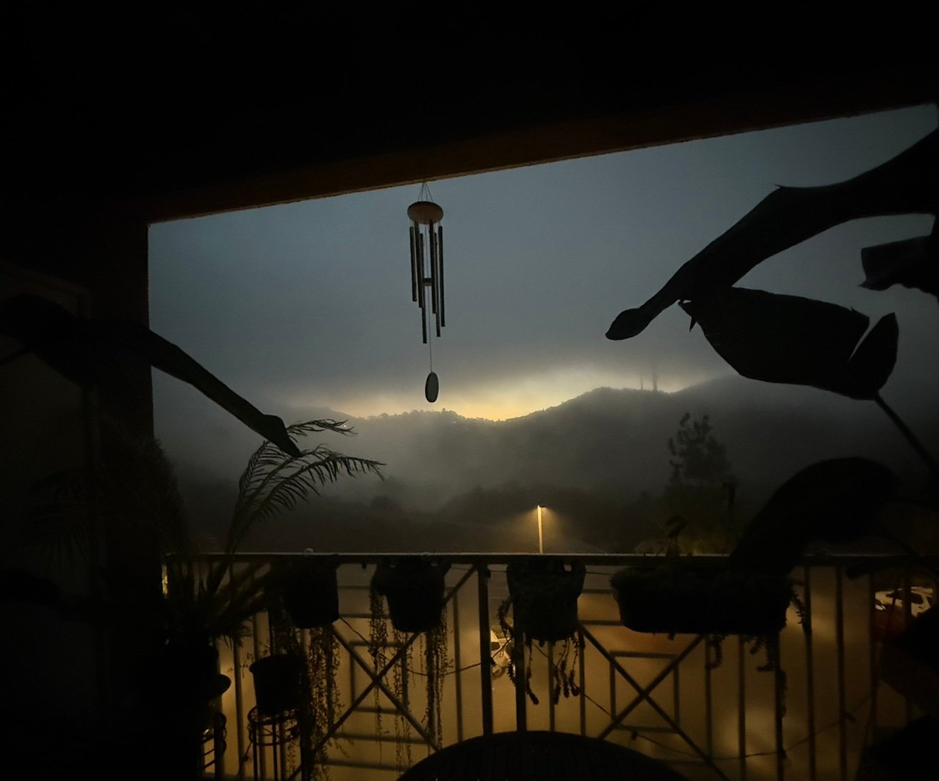 Elizabethbgbr's profile picture. 