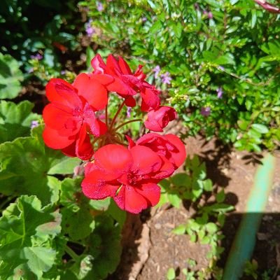 rivia546648399's profile picture. 