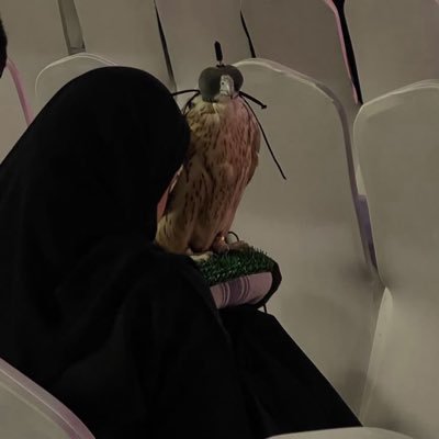 7lmze's profile picture. Trust ?? Trust who ??