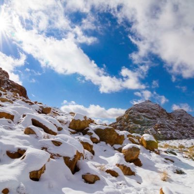 AbwZyz215811's profile picture. رجل من اقصى المدينة يسعى