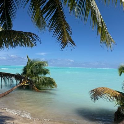 CB2315076226579's profile picture. Trading my way to paradise and freedom. My holds forever are $NVDA $AMZN $PLTR $ASML $CRWD $AXP $META $TSLA $IREN $CIFR  and just bought $ZETA $RDW $CRCL