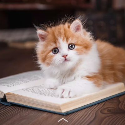 SolahUd66214122's profile picture. 