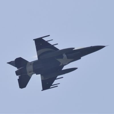 rawafidsalafi's profile picture. من از مردمانی‌ام که هرگاه دیگران راه را گم کنند، بیناتر می‌شوند.