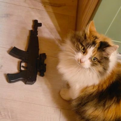 ebanatry's profile picture. 