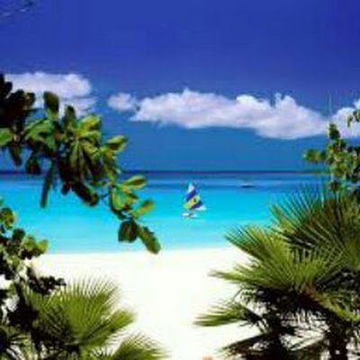 kedmooliveira46's profile picture. muito obrigado por me seguir