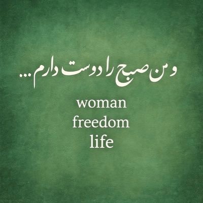 amirarg9694's profile picture. phd , دیس بک به تحجر