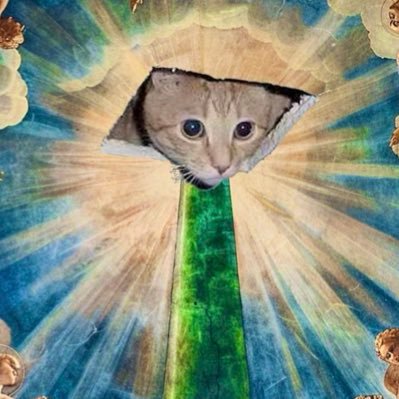 ceilingcat_sol's profile picture. He's always watching you 👀 ca: 2W1ZGBqfiwqoopxrtLYUHwNLQZ9yT1maxeVNxH8Upump