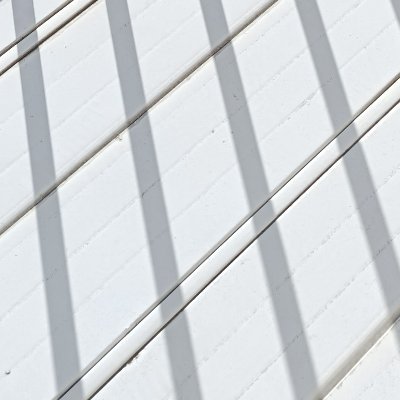 sa_kiti01's profile picture. 雑多 猫