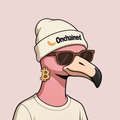 dashonchain's profile picture. Onchained 🦩