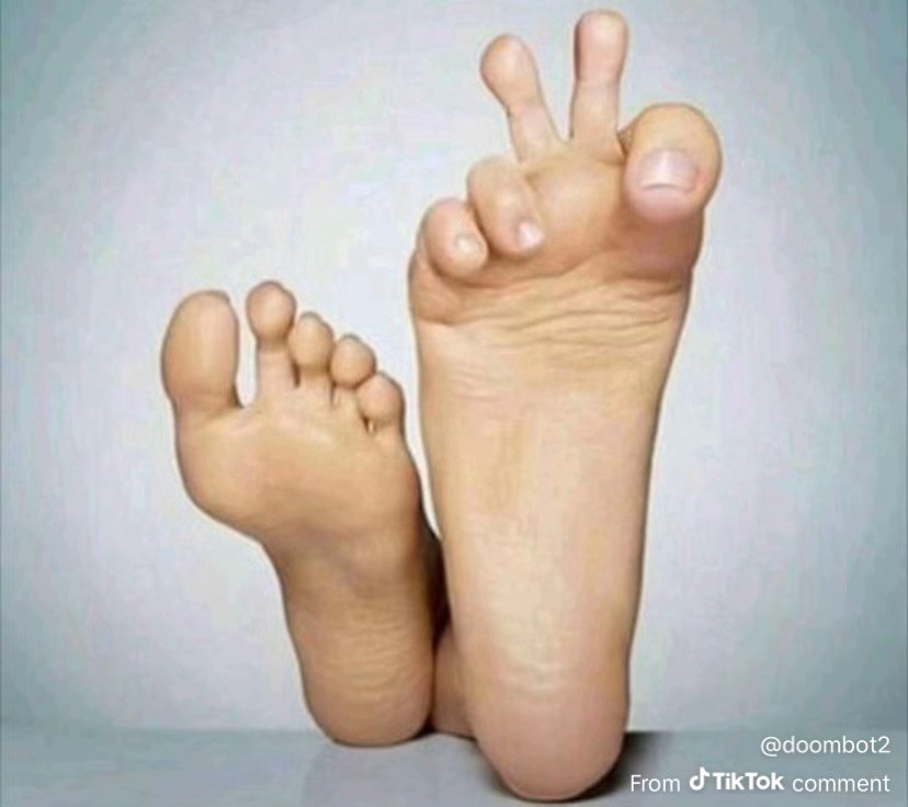 pelicaaans's profile picture. 