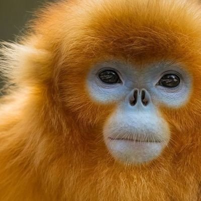 Xthan_77's profile picture. 