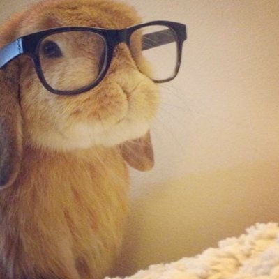 eughyucki's profile picture. one n only!